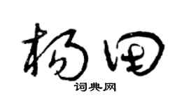 曾庆福杨田草书个性签名怎么写