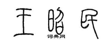 陈墨王昭民篆书个性签名怎么写