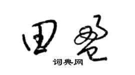 梁锦英田盈草书个性签名怎么写