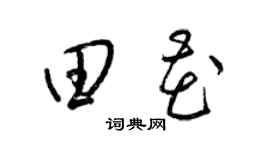 梁锦英田花草书个性签名怎么写