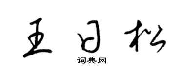 梁锦英王日松草书个性签名怎么写