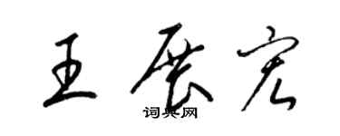 梁锦英王展宏草书个性签名怎么写