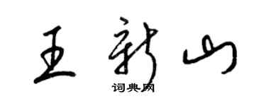 梁锦英王新山草书个性签名怎么写