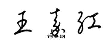 梁锦英王嘉红草书个性签名怎么写