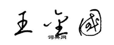 梁锦英王金国草书个性签名怎么写