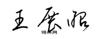 梁锦英王展昭草书个性签名怎么写