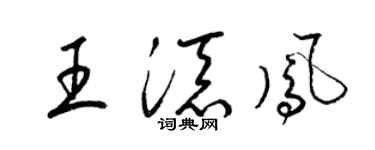 梁锦英王添凤草书个性签名怎么写