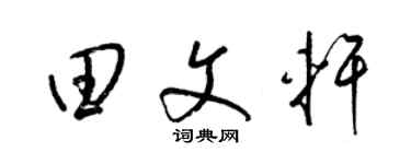 梁锦英田文轩草书个性签名怎么写