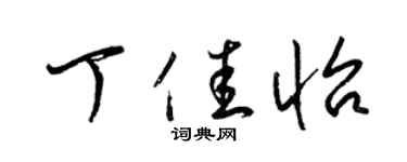 梁锦英丁佳怡草书个性签名怎么写