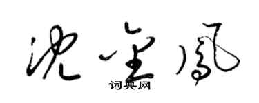 梁锦英沈金凤草书个性签名怎么写