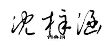 梁锦英沈梓涵草书个性签名怎么写