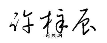 梁锦英许梓辰草书个性签名怎么写