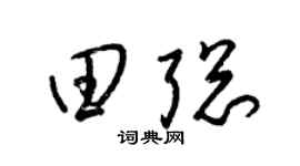 梁锦英田聪草书个性签名怎么写