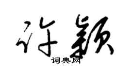 梁锦英许颖草书个性签名怎么写