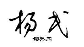 梁锦英杨民草书个性签名怎么写