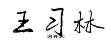 曾庆福王习林行书个性签名怎么写