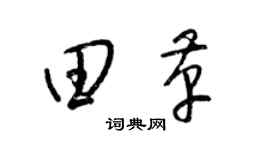 梁锦英田革草书个性签名怎么写