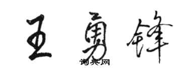 骆恒光王勇锋行书个性签名怎么写