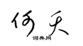 梁锦英何夭草书个性签名怎么写