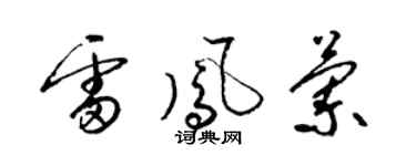 梁锦英雷凤兰草书个性签名怎么写