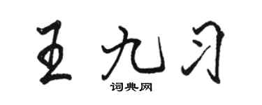 骆恒光王九习行书个性签名怎么写