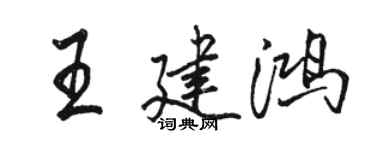 骆恒光王建鸿行书个性签名怎么写