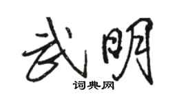 骆恒光武明行书个性签名怎么写