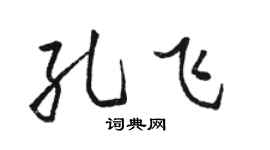 骆恒光孔飞行书个性签名怎么写