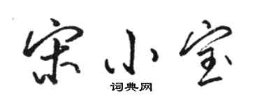 骆恒光宋小宝行书个性签名怎么写