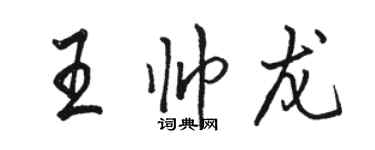 骆恒光王帅龙行书个性签名怎么写