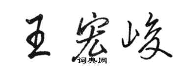 骆恒光王宏峻行书个性签名怎么写