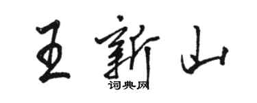 骆恒光王新山行书个性签名怎么写