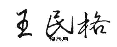 骆恒光王民格行书个性签名怎么写