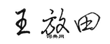 骆恒光王放田行书个性签名怎么写