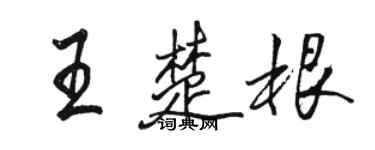 骆恒光王楚根行书个性签名怎么写