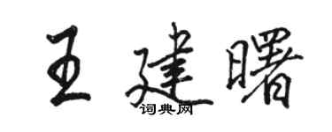 骆恒光王建曙行书个性签名怎么写