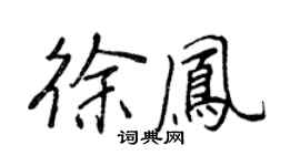 王正良徐凤行书个性签名怎么写