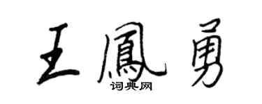 王正良王凤勇行书个性签名怎么写