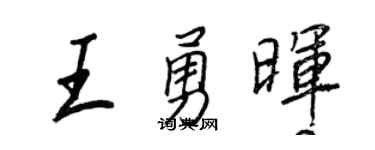 王正良王勇晖行书个性签名怎么写