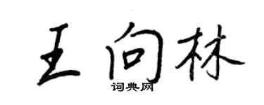 王正良王向林行书个性签名怎么写