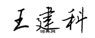 王正良王建科行书个性签名怎么写