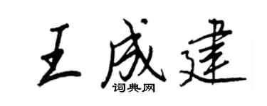 王正良王成建行书个性签名怎么写