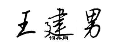 王正良王建男行书个性签名怎么写