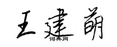 王正良王建萌行书个性签名怎么写