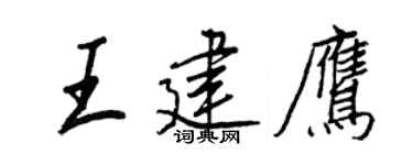 王正良王建鹰行书个性签名怎么写