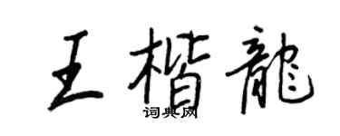 王正良王楷龙行书个性签名怎么写