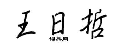 王正良王日哲行书个性签名怎么写