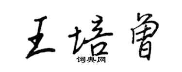 王正良王培曾行书个性签名怎么写