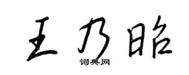 王正良王乃昭行书个性签名怎么写