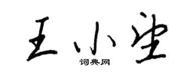 王正良王小望行书个性签名怎么写